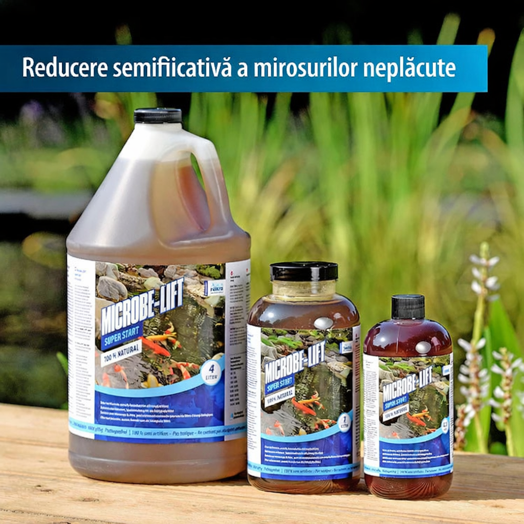 Bacteriile filtrante din filtrul unui iaz cu crapi koi