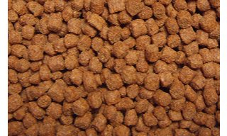 Hrana Koi - Hrana crapi koi cu Capsantina 6 mm