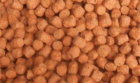 Hrana Koi - Hrana Koi  Astax 3 mm 1kg, 47% proteina