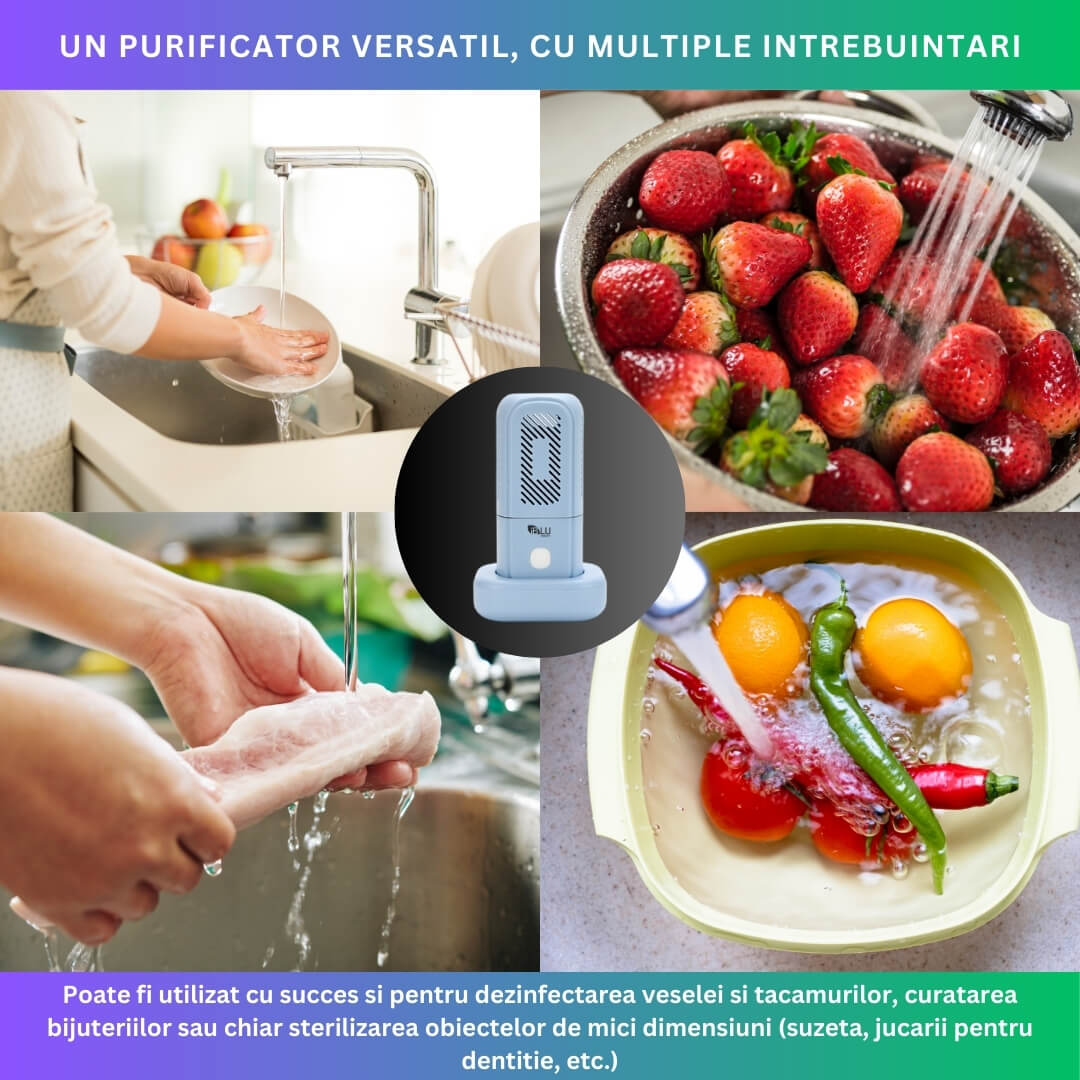 Purificator Alimente iBLU smart, Curatare, Sterilizare, Dezinfectare Fructe, Legume, Cereale sau Carne, Indeparteaza 99% din Bacterii, Pesticide si Hormonii din Mancare, Tehnologie OH-Ion, Portabil, IPX7 Incarcare Wireless prin Inductie, Albastru