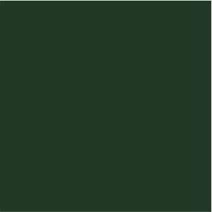 Verde inchis