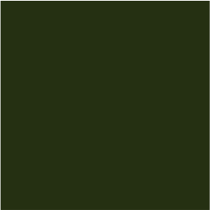 Verde padure