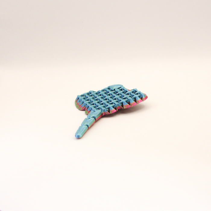 Raiă Marină Articulată | Idearium [3]