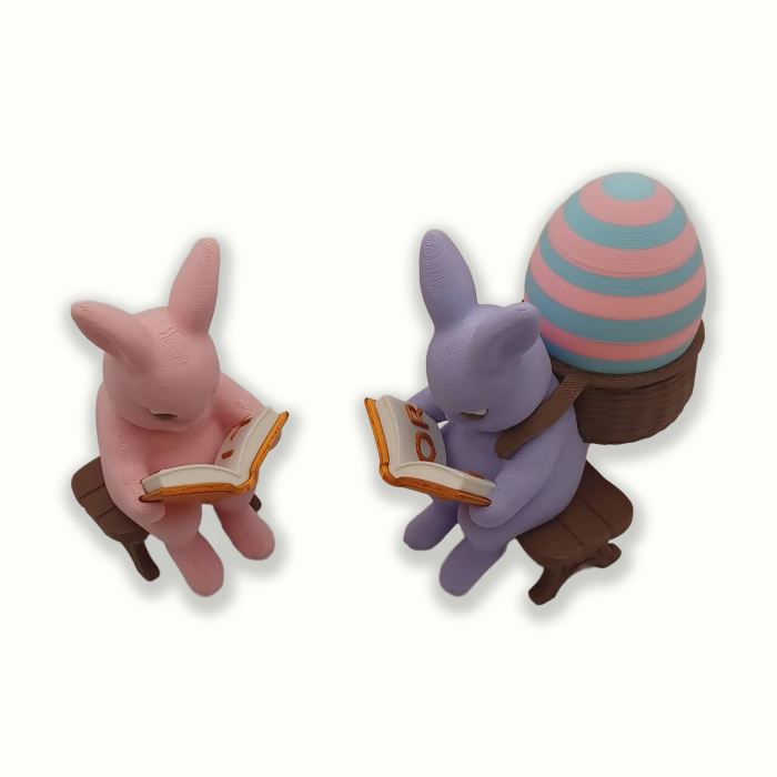 Set Iepurași Citind Povestea lui Lior Idearium [2]