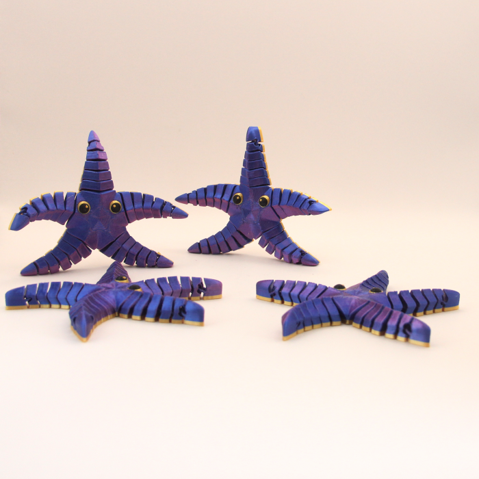 Stea de Mare Articulată – Idearium [3]