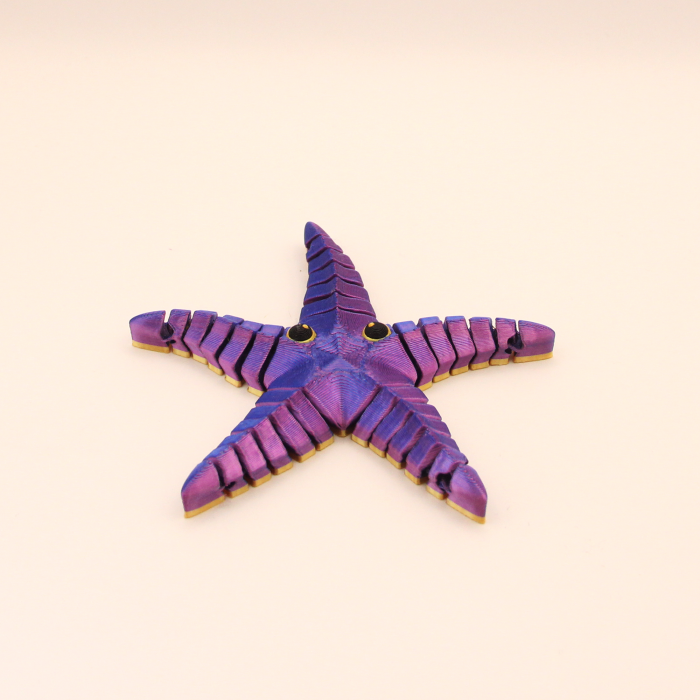 Stea de Mare Articulată – Idearium [2]