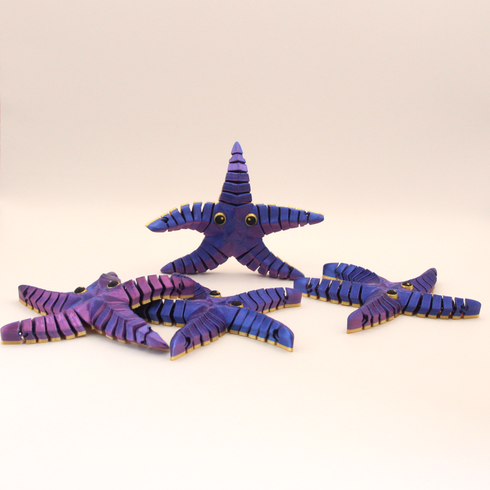 Stea de Mare Articulată – Idearium [4]