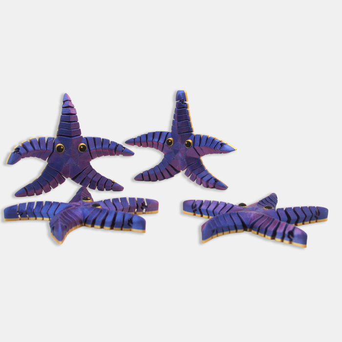 Stea de Mare Articulată – Idearium [3]