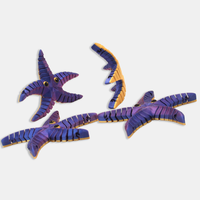 Stea de Mare Articulată – Idearium [2]