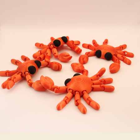 Lumea Acvatică - Crab Marin Articulat – Idearium