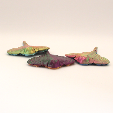 Lumea Acvatică - Raiă Marină Articulată | Idearium