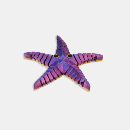 Lumea Acvatică - Stea de Mare Articulată – Idearium
