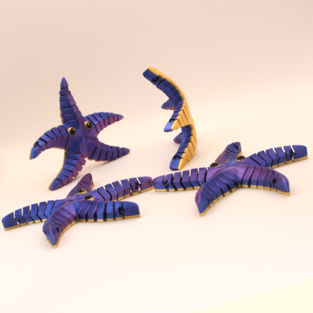 Lumea Acvatică - Stea de Mare Articulată – Idearium