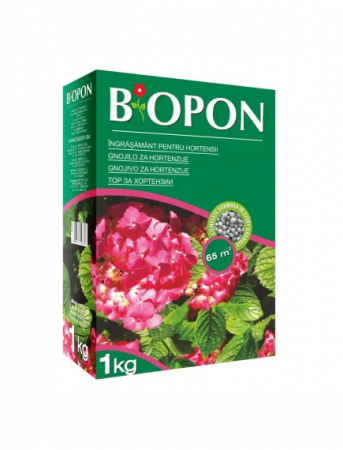 Ingrasamant granulat - BIOPON ingrasamant hydrangea 1 kg (hortensia)