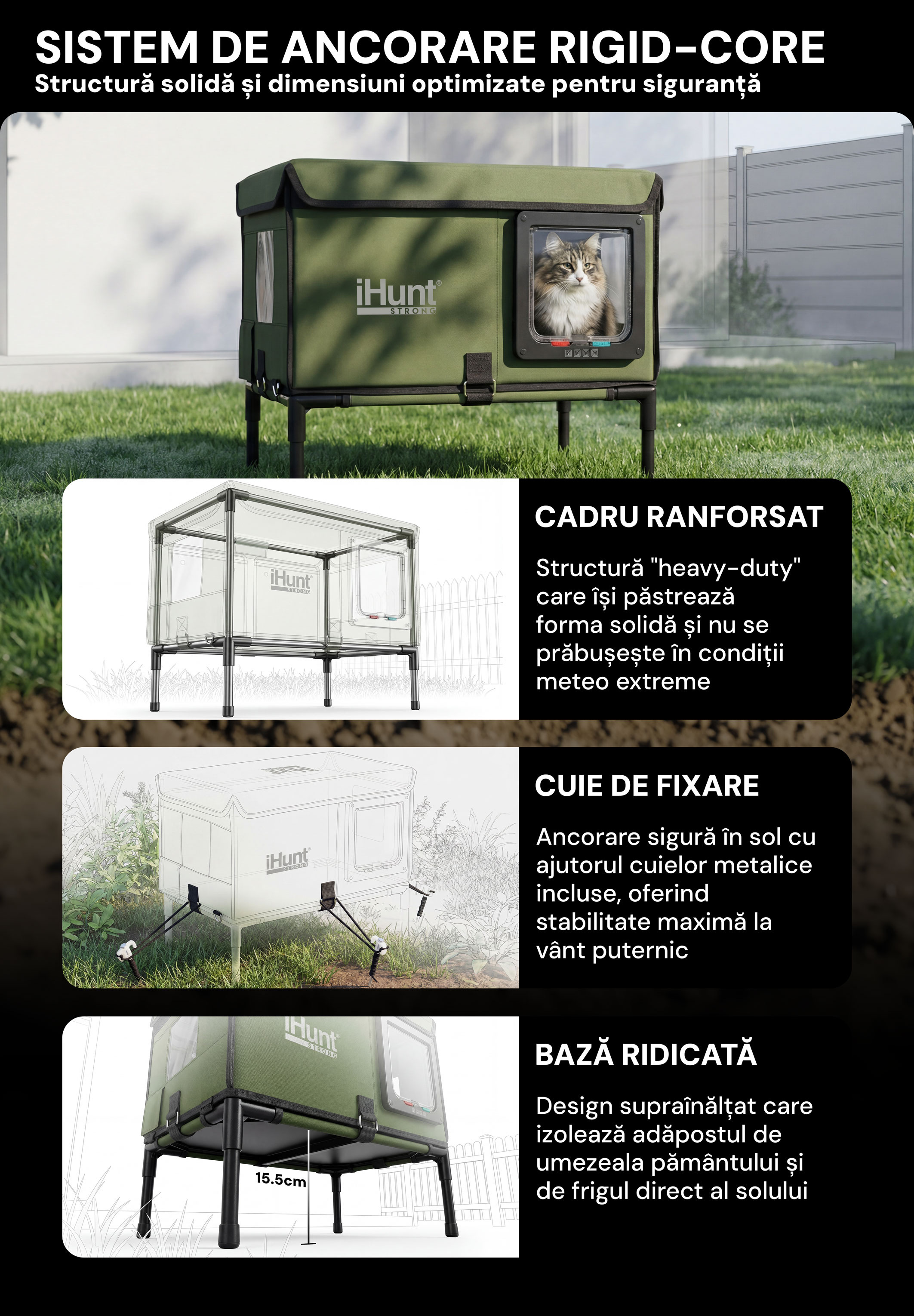 Sistem ancorare si structura