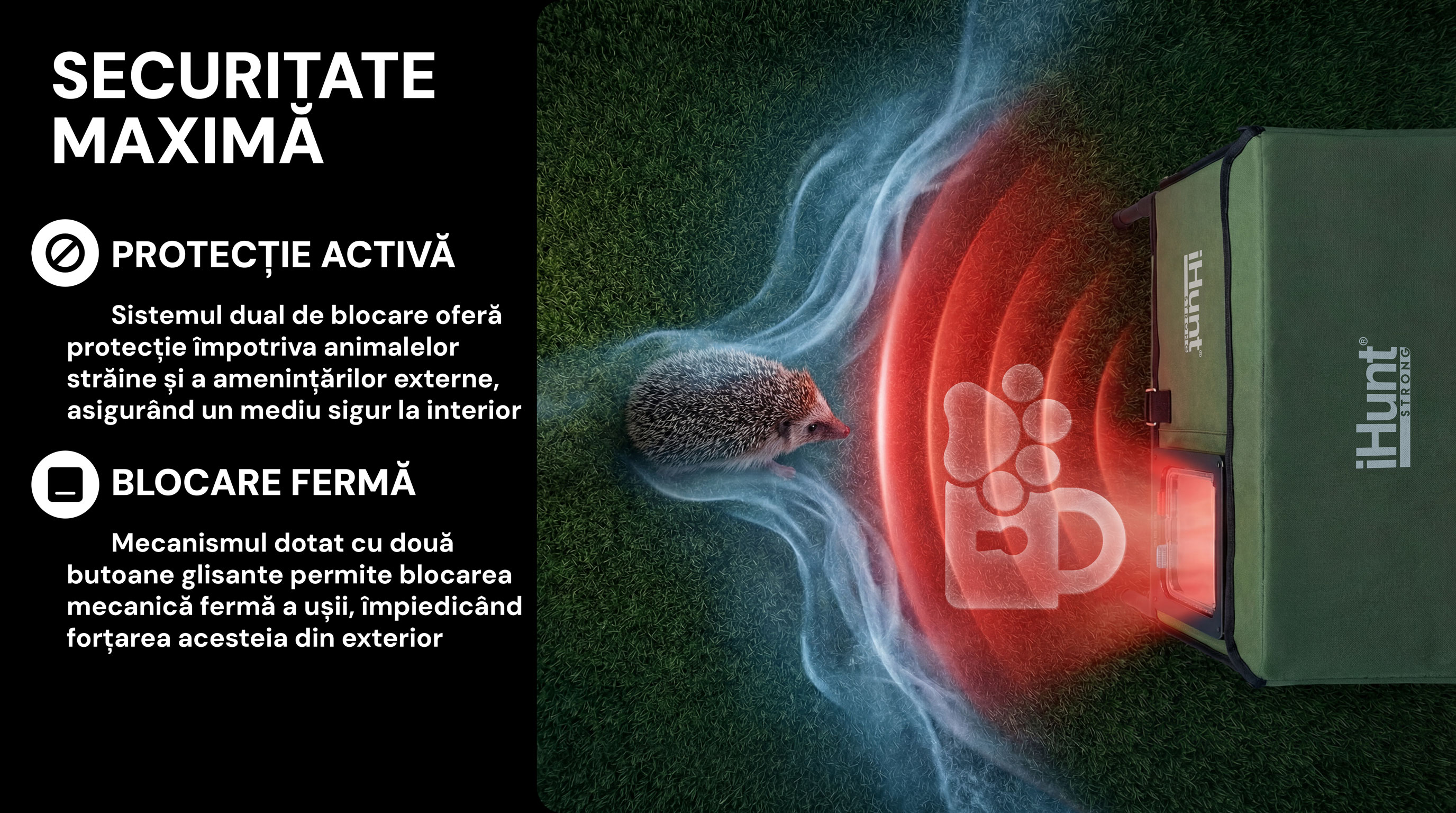 Protectie activa anti-intrusi