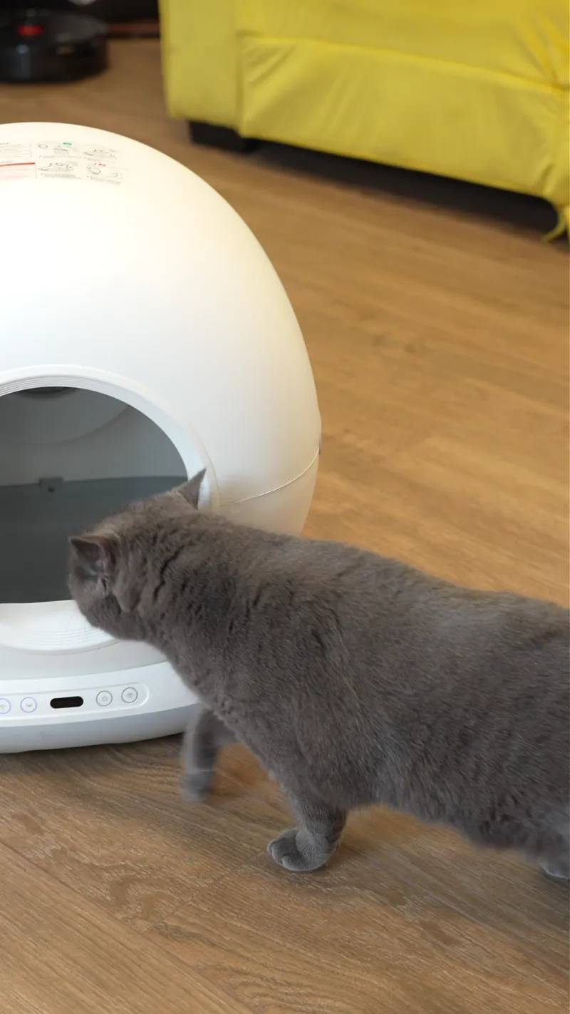 Litiera Automata iHunt Smart Cat Litter V7 Camera, Wi-Fi, Senzori, Camera video, Aplicatie Smart [2]
