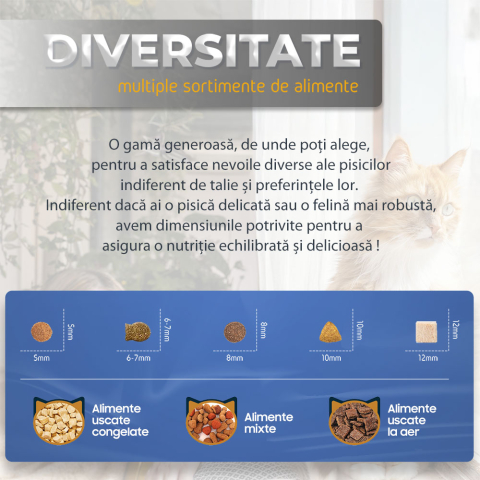 iHunt Smart Pet Care Pack, Hranitor automat 3L si fantana apa 2L pentru animale de companie [4]