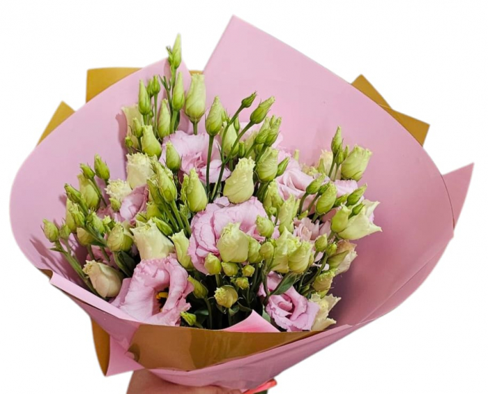 Buchet eustoma roz în ambalaj roz cu auriu [1]