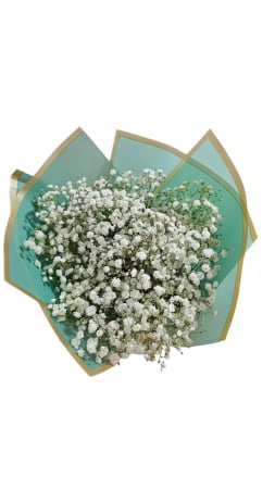Buchete de Flori Mixte - Buchet gypsophila albă în ambalaj verde cu auriu