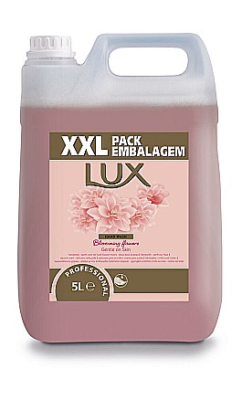 Produse igiena si curatenie - Lux Sapun lichid de maini 5L