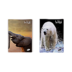 Produse din hartie - Caiet A5, 48 file, 80gsm, coperta carton 300gsm, design wild - matematica