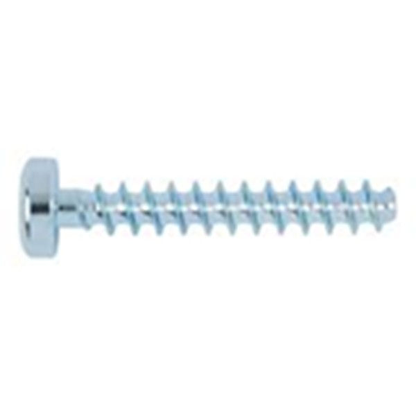 REXROTH - 3842552422, SURUB CU CAP SEMIR  W1452-4X18-10.9-T20 [1]