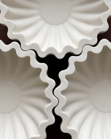 Boluri - Raza - IS21