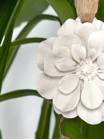 Ornamente - Floare - IS34