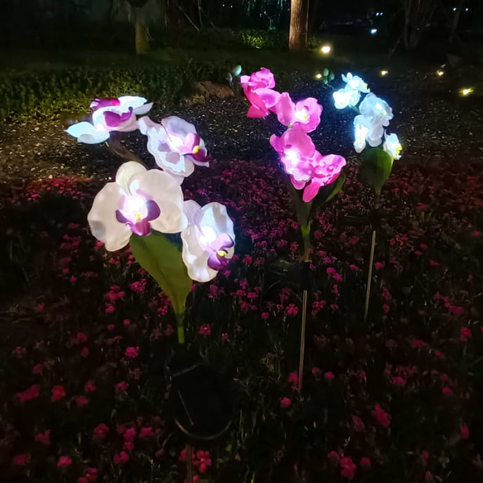 Set 2 x Lampi Solare Orhidee cu LED – Decor Romantic pentru Gradina, Tarus si Panou Solar [5]