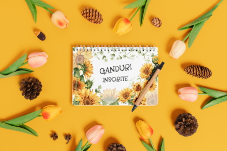 agenda-a5-handmade-floarea-soarelui-spirala-landscape-inspirart.jpg [5]