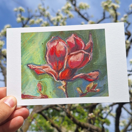 Postcards - magnolia
