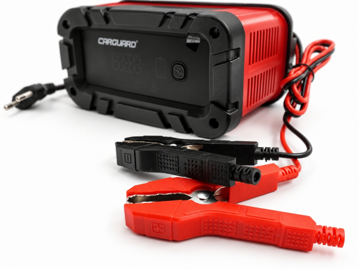 Redresor auto inteligent 12V/24V, 10A/5A, încărcător baterii [6]