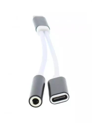 Adaptor USB Type C tata - jack 3.5 mm mama 13cm Well [1]