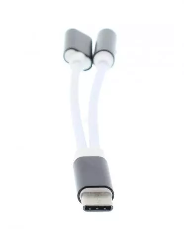 Adaptor USB Type C tata - jack 3.5 mm mama 13cm Well [2]