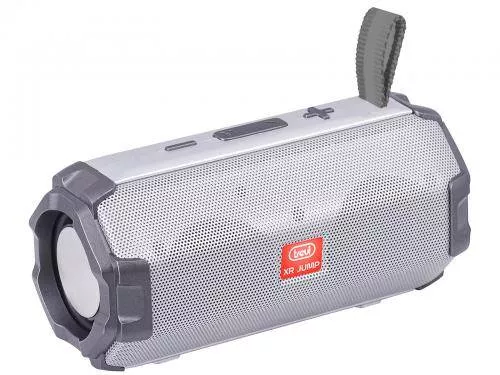 Boxa Bluetooth XR 8A20 10W Argintiu - Sunet Puternic, TWS, Radio FM, Microfon Hands-Free, Portabil [1]