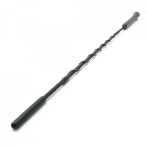 Antena universala auto 41cm filet interior M6 + adaptor filet M6/ M5 Carguard - IoElectronice.ro [1]