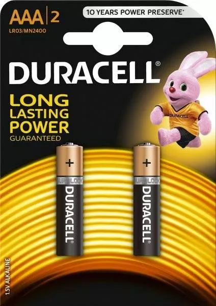 Baterii - Baterii alcaline AAA R03 DURACELL BASIC 2buc/blister – IoElectronice.ro