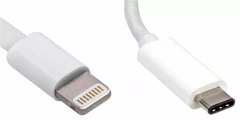 Cablu USB Type C - Lightning 1m MFI Gembird MicroConnect USB 3.1, conector Apple, rotund, certificat MFi [1]
