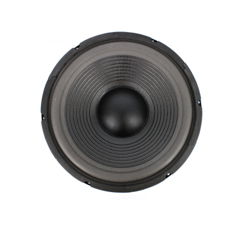Difuzor HI-FI 12" Carguard HSP005 150/300W 8 ohmi pentru sunet de calitate înaltă [1]