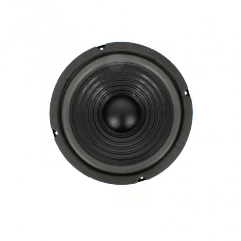 Difuzor HI-FI 8" 203mm 100/200W 8 ohmi Carguard HSP003 [1]