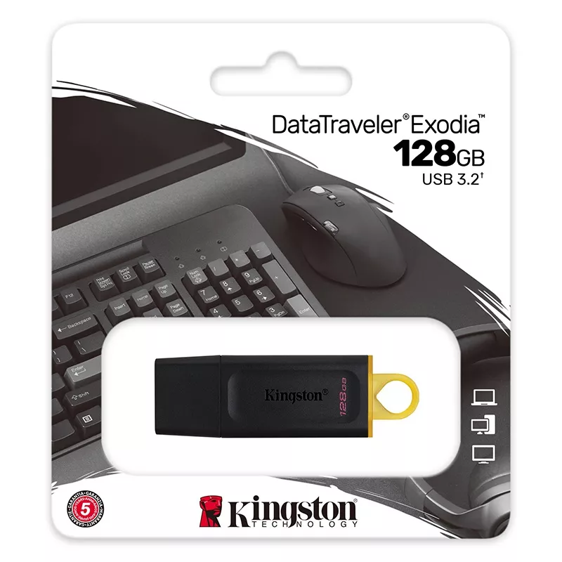 FLASH DRIVE 128GB DT USB 3.2 GEN1 KINGSTON DTX/128GB – IoElectronice.ro [1]