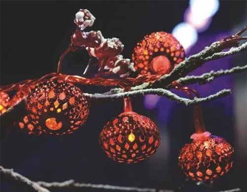 Ghirlanda electrică luminoasă decorativă cu felinar 20 LED-uri roșii cablu transparent WELL – IoElectronice.ro [3]