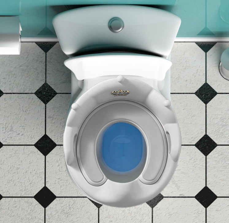 Colac Toaleta Copii cu Spatar si Manere, Adaptor WC Copii Antiderapant 40 cm, Scaun Toaleta Copii [4]