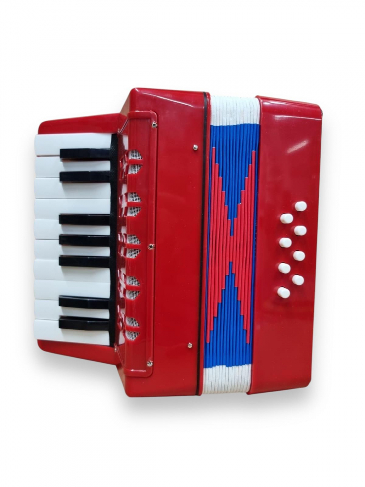 Acordeon Copii cu Clape, iStan, 23 x 38 cm - Rosu [9]