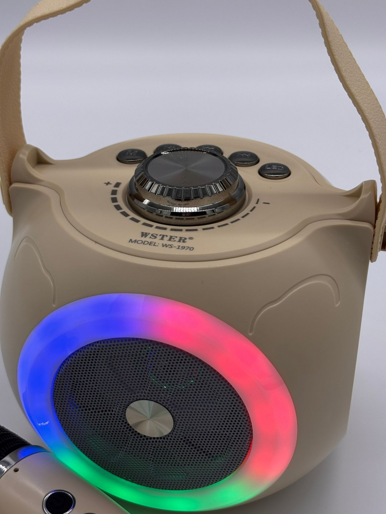 Boxă Karaoke cu 2 Microfoane Wireless, Lumini RGB, Bluetooth 5.4 – Calitate Audio Premium [8]