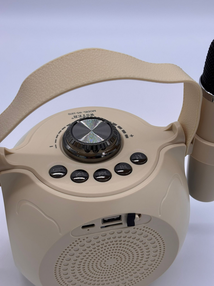 Boxă Karaoke cu 2 Microfoane Wireless, Lumini RGB, Bluetooth 5.4 – Calitate Audio Premium [5]