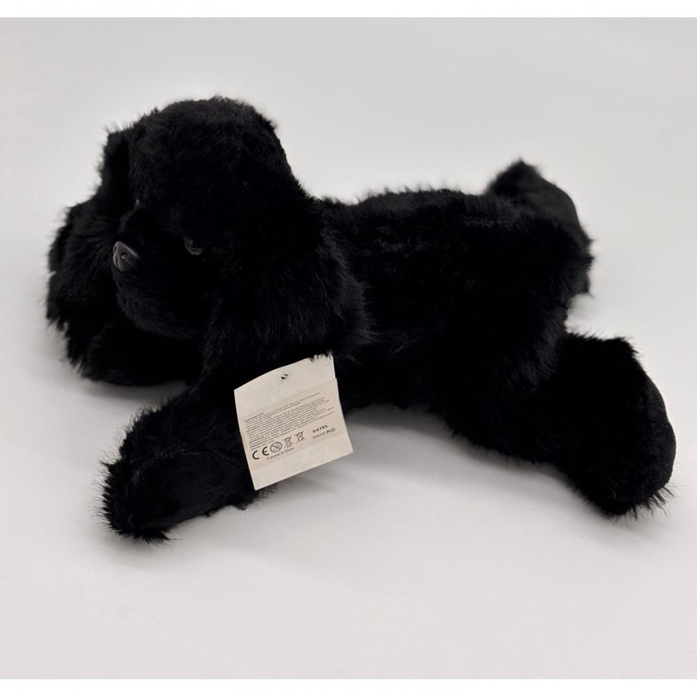 Catelus de Plus Bichon, 30 cm [6]