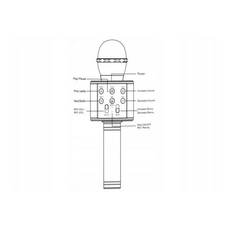 Microfon Karaoke Wireless, Multifunctional, cu Radio, TF Card, USB, Functie de Inregistrare, Efecte Vocale - Auriu [6]