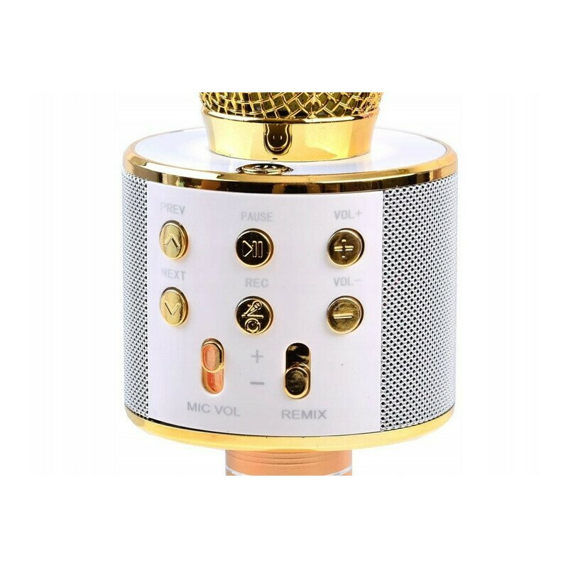 Microfon Karaoke Wireless, Multifunctional, cu Radio, TF Card, USB, Functie de Inregistrare, Efecte Vocale - Auriu [3]